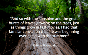 zWkPT6wilks2BJWhmJpt-Q